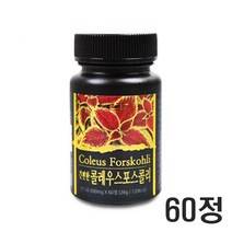 콜레우스 포스콜리 추출물 분말 콜레우스 포스콜린 정 알약 콜레우스 포스콜리효능 간편한 콜레우스 포스콜린 가루 타블렛 홈쇼핑, 1 E A