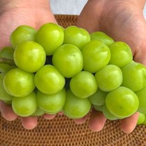 김천 샤인머스켓 청포도 1kg 선물 세트 보자기포함, 당근마켓몰 1, 당근마켓몰 본상품선택