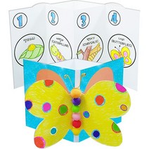 [칼라노리] 나비성장북아트/ 나비성장과정/ 북아트만들기