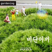 비단이끼 소 중 대 / 테라리움 재료 비바리움 석부작 부부가드닝, 비단이끼 대