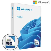 마이크로소프트 Windows 11 Home FPP 처음사용자용 USB설치미디어 윈도우 패키지, Windows11 Home FPP