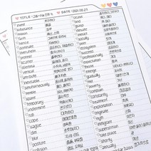 셋어레코드 튤립 기억저장폴더 B5 보카노트, 튤립 스카이 보카