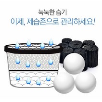 집이눅눅할때 습기 많은 집 냄새 곰팡이 참숯 제거제 제습제 제습존