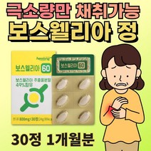 발목시큰거림 발목삐었을때 60대 여성 보스웰리아 알약 정 손목 부었을때 퇴행성 관절 케어 보스엘리아 보수엘리아 BOSWELLIA