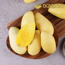 [이과일이다] 필리핀 카라바오 생망고 5kg 24과 선물세트, 단품