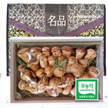 [100%품질보증제] 참송이 버섯 송화 버섯 선물세트 고급포장 추석 설날 명절 부모님 회사 선물세트, 01. 송화버섯 500g 선물세트