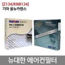 기아 올 뉴 카렌스 에어컨 뉴대한 항균 Z134/KNB134, 뉴대한 항균필터 Z134