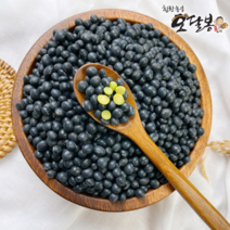 힘찬농부오달봉 2022년 햇 국산 약콩 청약콩 쥐눈이콩 청서목태, 1개, 10kg(5kg+5kg)