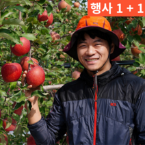 1+1(2박스) 경북 청송 최고급 선물용 대과 중과 소과 흠집 기조 알뜰 열과 20 kg 키로, 2박스 가정용 대 10kg(24-28과)