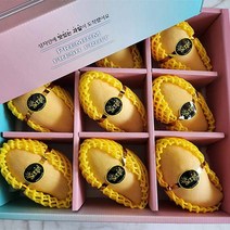 [현지의맛] 태국 골드망고 항공수입100% 고당도, 3kg내외 선물용 9과, 1개