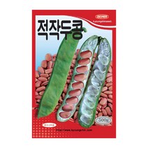 경신종묘 콩씨앗 적작두콩 500g