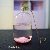 금붕어 공 수족관 물고기 탱크 그릇 ecosphere 꽃 식물 꽃병 테이블 그릇 작은, 1-1개