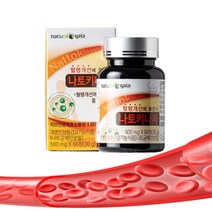 낫토키나제 혈행개선 낫토키나제 약2개월 영양제, 60정, 2개
