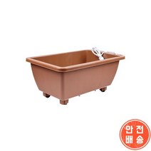 우리집 텃밭 중 실내 채소 키우기, 단품