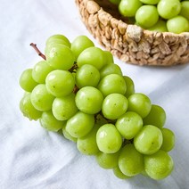 산지직송 쭌이네 당도보장 샤인머스켓 1kg/2kg, 샤인머스켓 1kg(3-4수-소), 1개
