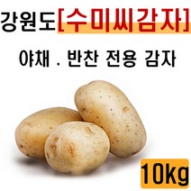 [수미 강원도 씨감자] 3kg 10kg (주)왕산종묘 감자 버섯종균 분감자 야채 반찬 전용감자, 1box, 강원도 수미 씨감자 10kg