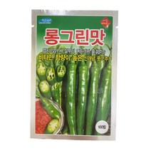[2022년] 롱그린맛 고추 종자 100립 하우스 풋고추 씨앗