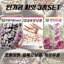 인기콩씨앗 3종SET 호랑이강낭콩 얼룩강낭콩 적작두콩, 1개