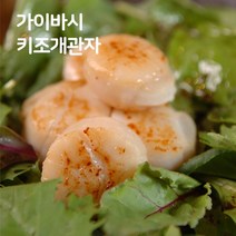가이바시 키조개관자 800g 조개 관자, 1개
