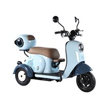 삼륜전기자전거 세발전기자전거 접이식 삼륜 전동오토바이 배달 전동, 48V / 600W / 12A 납산 배터리
