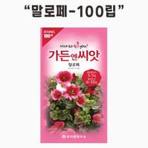 [쇼핑엔티] 가드닝스토어 수입야생화 말로페 꽃 씨앗 100립 가든엔씨앗, 없음
