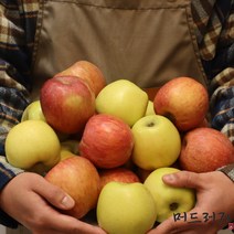 [머드러기] 산지직송 당일발송 부사 시나노골드 쥬스용 사과 3kg 5kg 10kg, 쥬스용 10kg