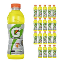 롯데칠성 게토레이 레몬 600ml (20펫) 20개, 80개