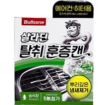 불스원 살라딘 훈증캔 에어컨 히터 탈취제, 1개, 1개입, 훈증캔 실내용 숲속향
