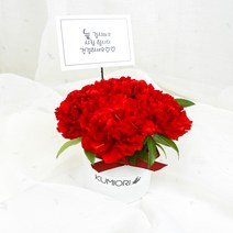 카네이션 생화 센터피스 5월 가정의달 5종 만원의행복, 센터피스 핑크, 기본(4송이)