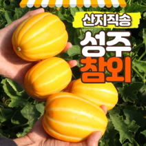 푸릇푸릇 성주참외 꿀참외 3kg 5kg 10kg, 참외 5kg