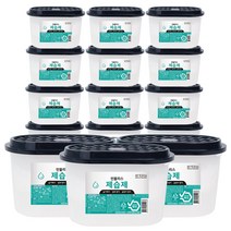 인블리스 옷장서랍 다목적 제습제 250g x15개, 단품