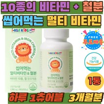 키즈 초등학생 츄어블 맛있는 멀티 비타민 영양제 조카 손녀 손자 선물 종합비타민 건기식 꾸미 젤리 어린이 아이 유아 비타민 10종 A C D E B군 엽산 철 성장기 아기 구미