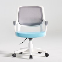 리니체 사무실 책상 컴퓨터 의자 LS300 공부 학생 의자, 블루