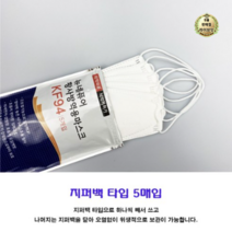 파인텍 네퓨어 황사방역용 마스크 S100 대형 KF94, 120개, 1개입