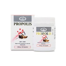 네이쳐스탑 프로폴리스 플러스 (180캡슐), 1병, 500mg x 180캡슐