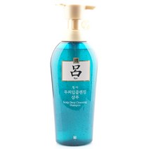 려 모발케어 두피 딥클렌징 지성피부용 샴푸 500ml, 단일 수량