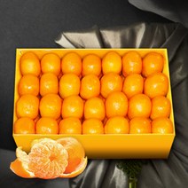 가락시장 직송 유명산지 제주 감귤 5kg(37~40입내/2L)