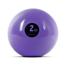 이고진소프트 토닝볼 2kg 퍼플 필라테스 웨이트볼, 단품