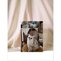 탁상용 소형아크릴 제작액자 5x5 5x7 5x10, 실버