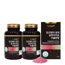스캇나인 링곤베리 퓨레 글루타치온 추출분말 120g, 2개