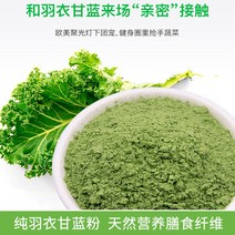케일 분말 가루 500g 식이섬유 천연식품 케일파우더, 퓨어 케일 500g 봉지