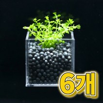 어항수초 컨테이너 펄그라스 세트 6개, 단품