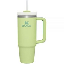 Stanley H2.0 플로 스테이트 스테인리스 스틸 텀블러 오키드 30온스109260, 30 oz, Iris, Citron