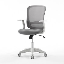 보네드 바이런 화이트 컴퓨터 사무실 학생의자 공부 책상의자, 그레이 등받이, 그레이