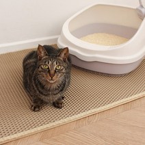 사막화방지매트 고양이 화장실 발판 두부모래 바닥매트 캣 벌집매트, M사이즈