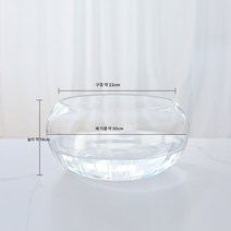 Z3JC 두꺼운 원형 투명 유리 금붕어 항아리 소형 거실 가정용 수경재배 테이블 드럼 항아리 크리에이티브 미니 거북이 항아리, 30 드럼통(포장율 1*12)