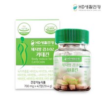HD생활건강 체지방 감소02 카테킨 700mg x 42정