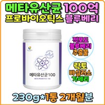 100억유산균 유산균분말 퍼플푸드 유산균배양분말 낙산균 혼합유산균 메타 불루베리 적포도 생균 사균 프리바이오틱스 야채혼합농축 필수아미노산 미네랄 비타믹스 락토바실러스 가세리 애시도필러스 람노서스