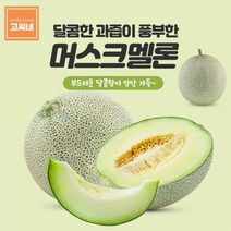 고씨네 특급 멜론3kg 국산메론 멜론종류 멜론과일멜론 멜론가격 머스크멜론 칸탈로프멜론 머스크메론 메론 양구메론 세지메론 메론가격 곡성메론, 본상품, 초심유지 본상품선택