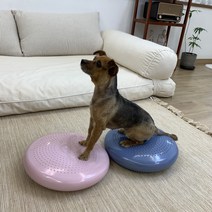 바우베베 강아지짐볼 강아지어질리티 밸런스보드, 핑크